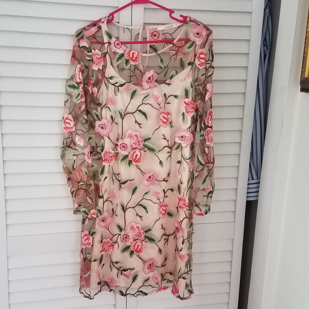 Gorgeous embroidered dress.